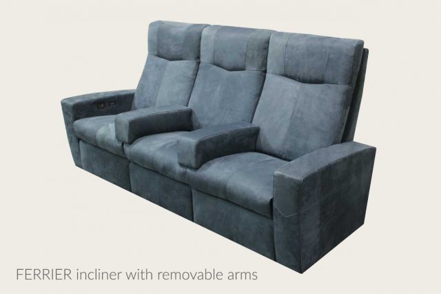 Ferrier with removable arms